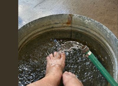 A person 's feet in water with a brush.