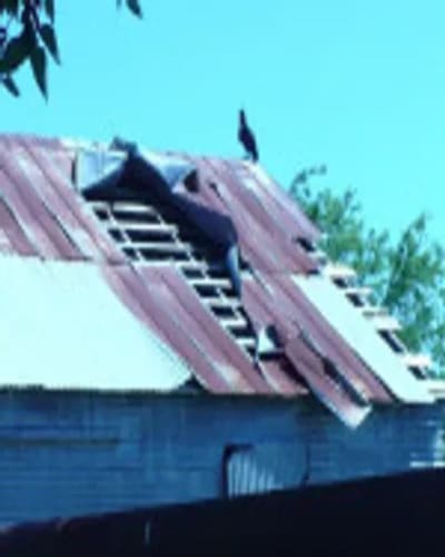 A dog is jumping over the roof of a building.