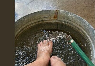 A person 's feet in water with a brush.